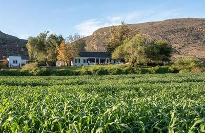 Daniel's Kraal Guest Farm