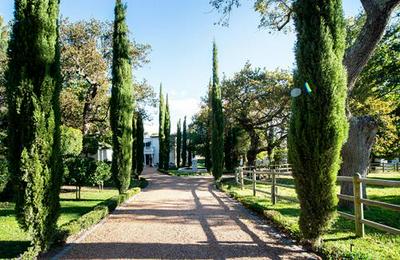 Le Petit Verdun