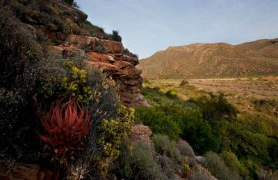 Karee Kloof Conservancy & Guest Farm