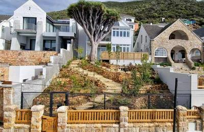 Dragon Tree Guest House