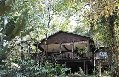 Forest Bird Lodge
