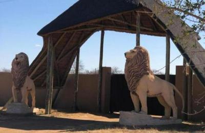 Simba Safari Lodge