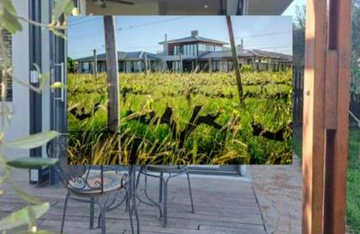 Domaine Coutelier Apartments