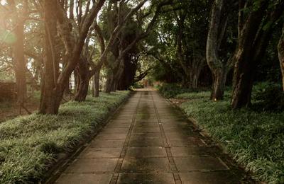 La Granja