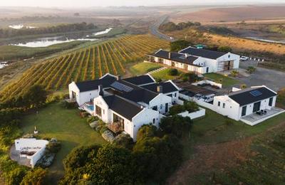 Zoetendal Vineyard & River Estate