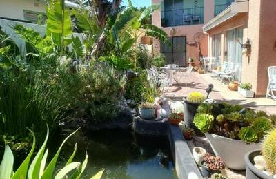 Mountainia Inn Self Catering