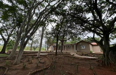Zabini Lodge and Game Drive