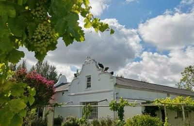 Morgenzon Farm