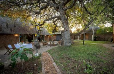 Ngoma Bush Lodge