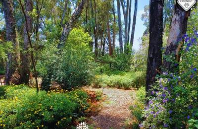 Woodland Gardens Pet Friendly Self Catering