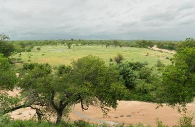 Tuskers Safari Camp