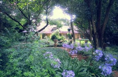 The Village Guest House