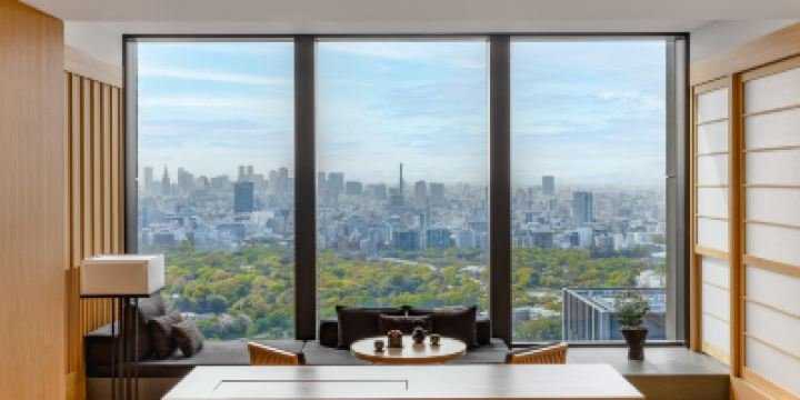 Garden View Suite King