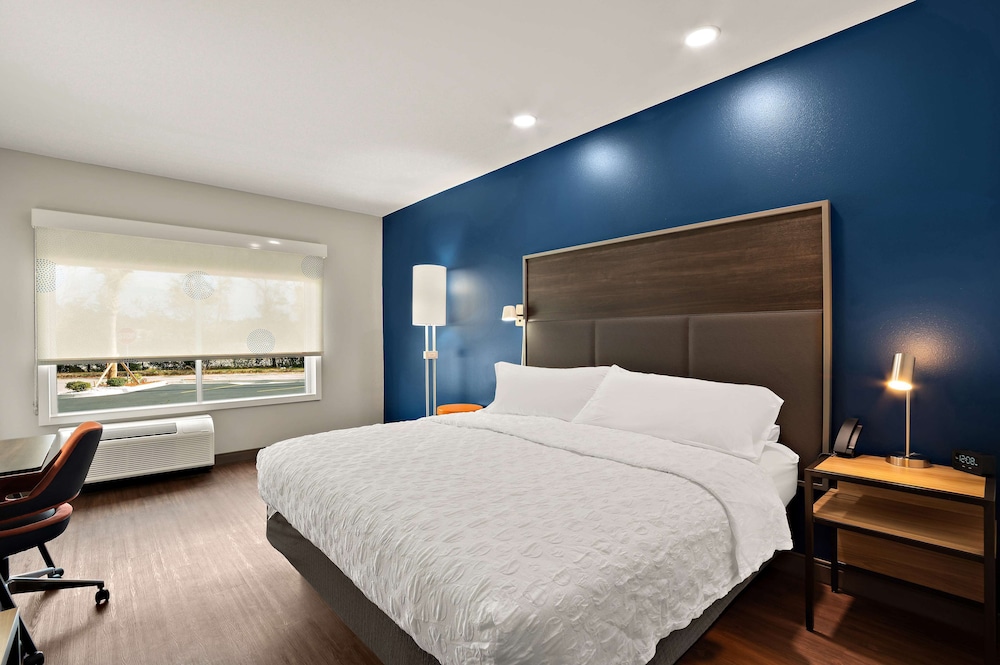 Room, 1 King Bed