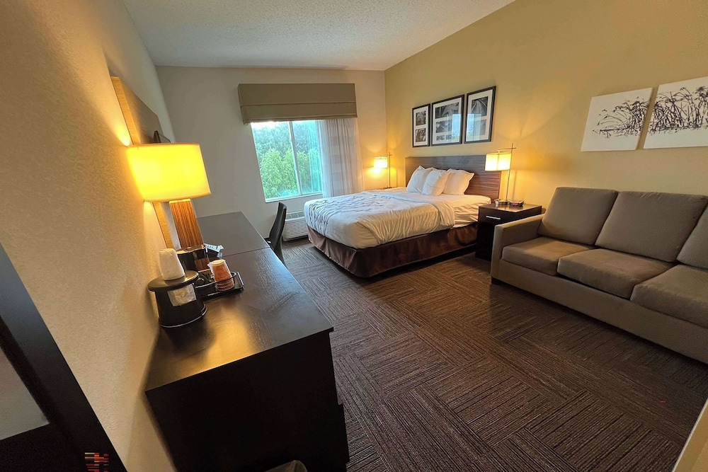 Suite, 1 King Bed with Sofa bed, Non Smoking - Photo 1