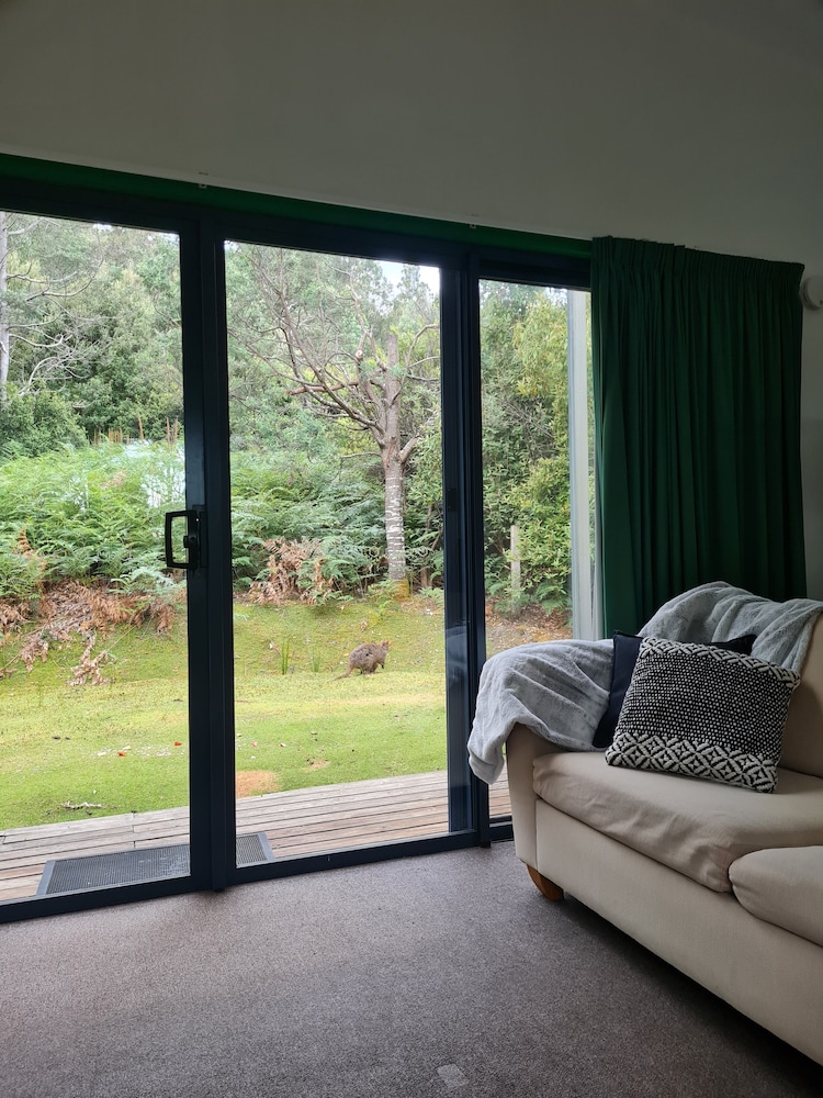 Standard Studio, Mountain View, Mountainside - Photo 10