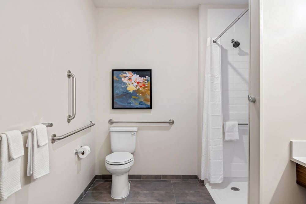 Suite, 1 King Bed, Accessible, Non Smoking (Roll-in Shower) photo 2