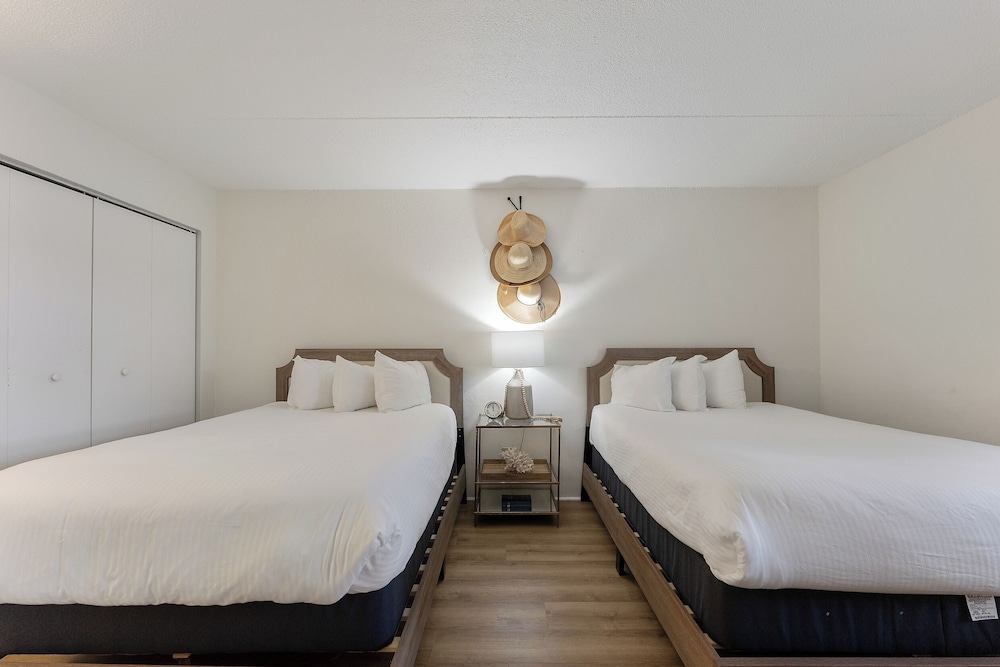 One Bedroom Double Suite photo 2