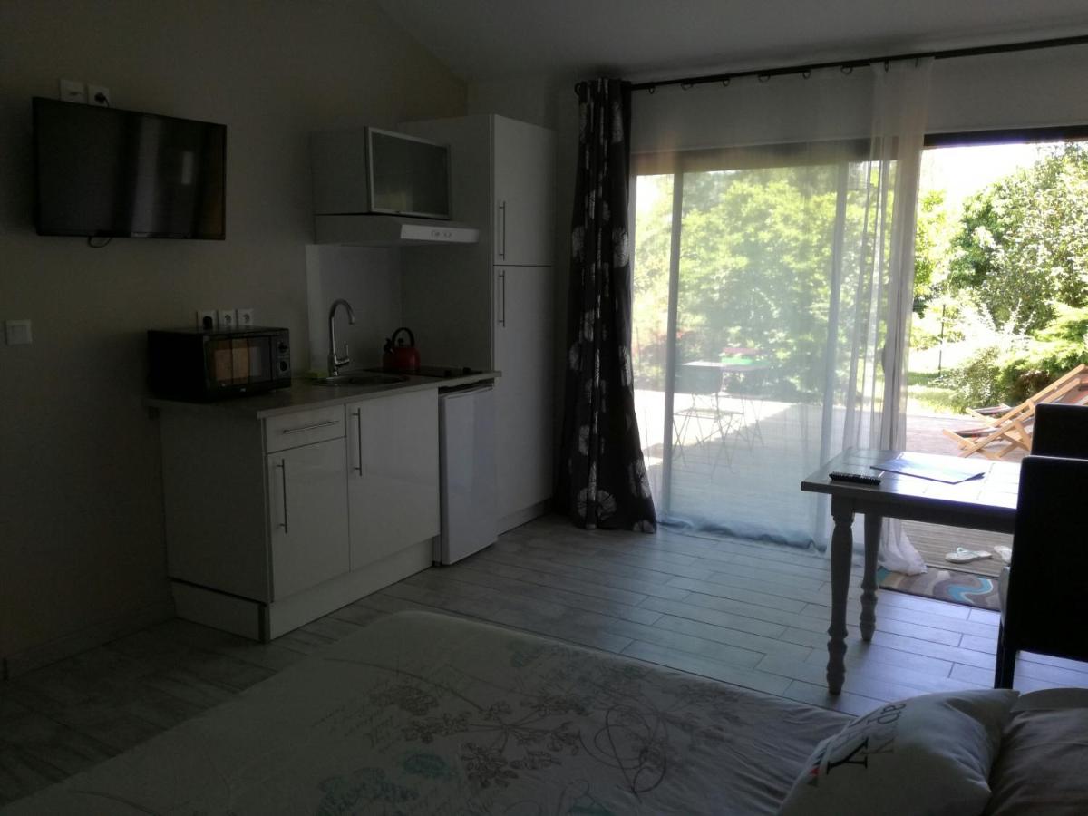 Studio with Garden View photo 3