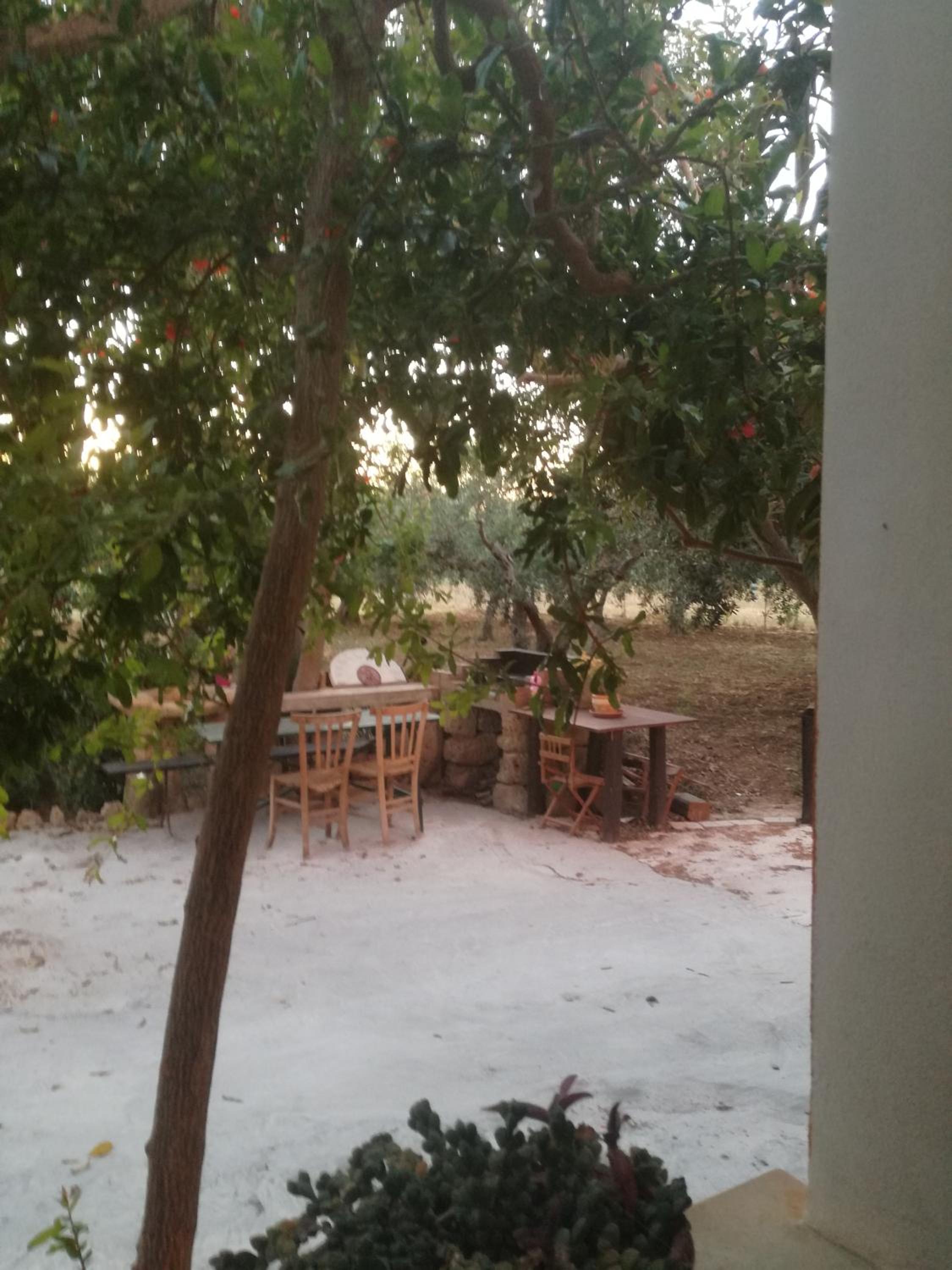 Studio with Garden View photo 3