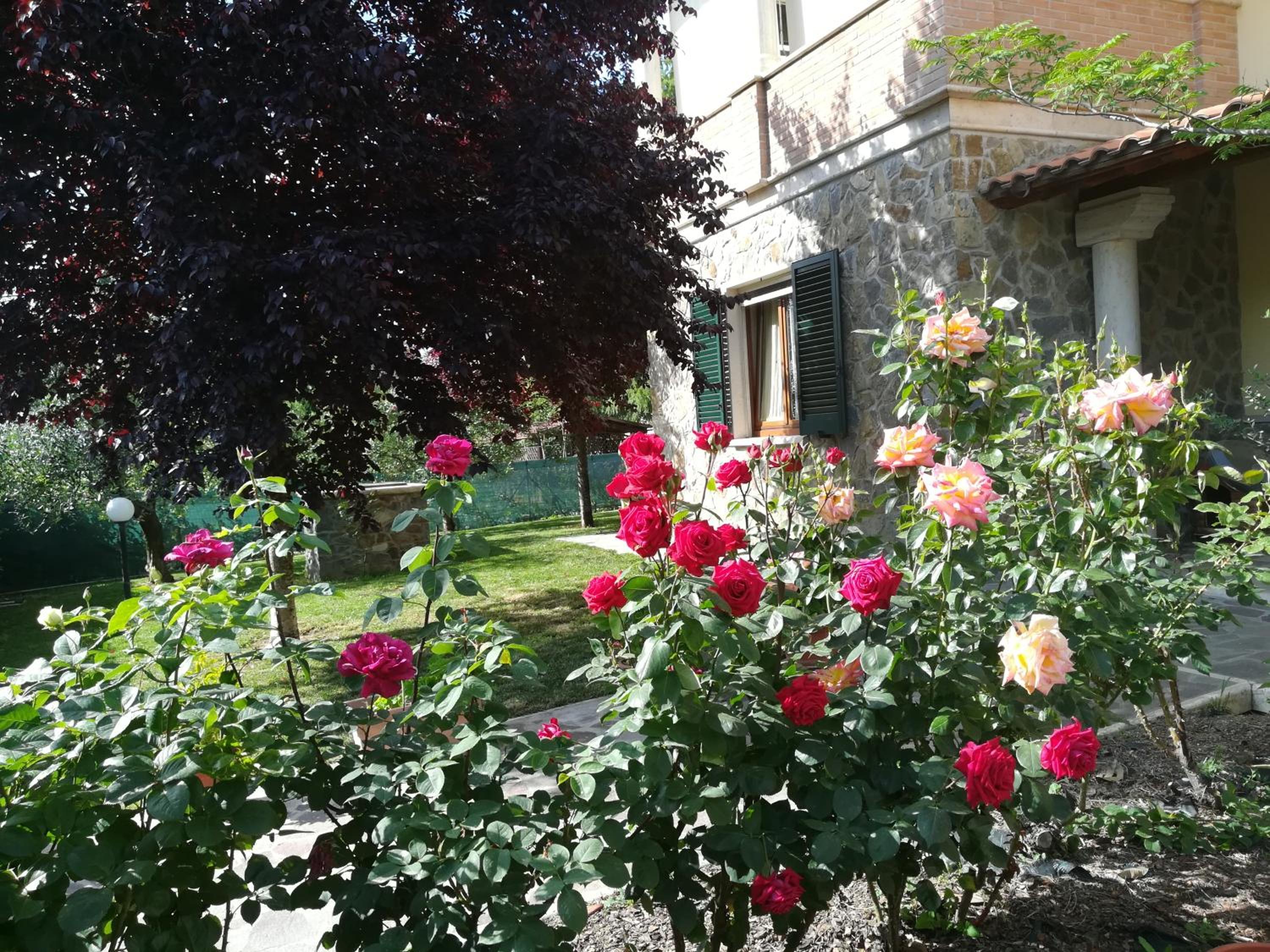 Apartment with Garden View - Photo 26