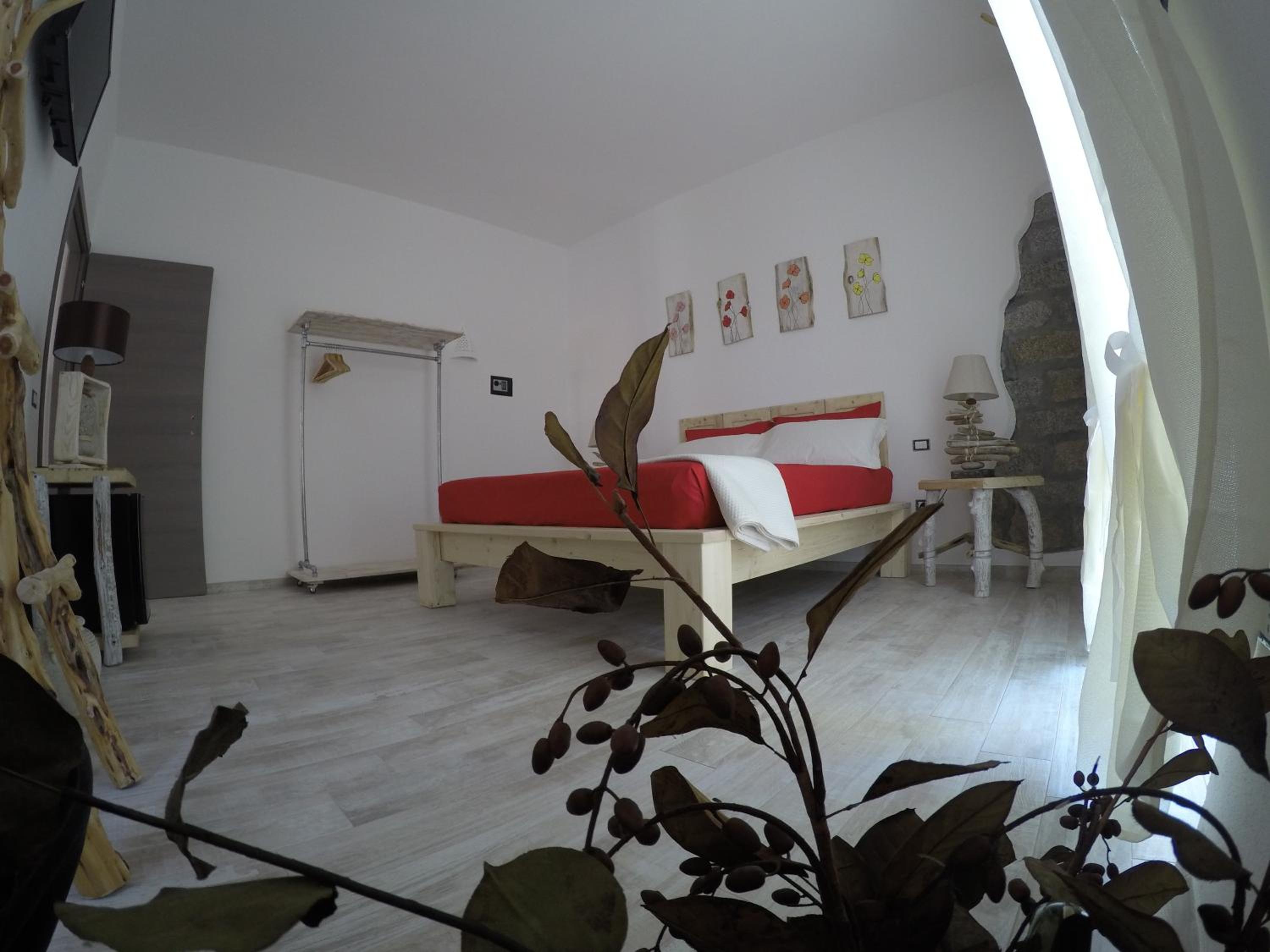 King Room with Garden View