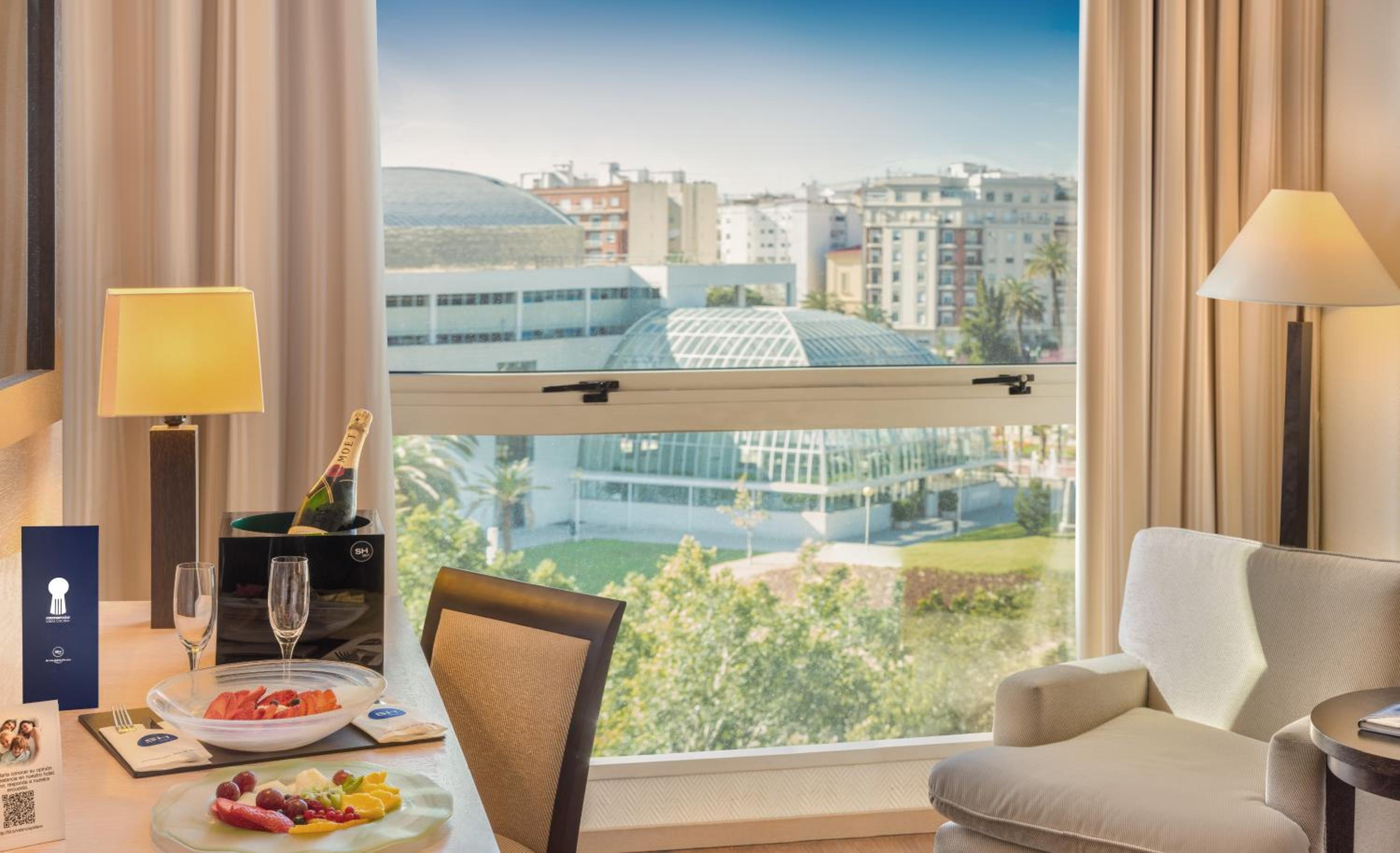 Superior Double Room with City View