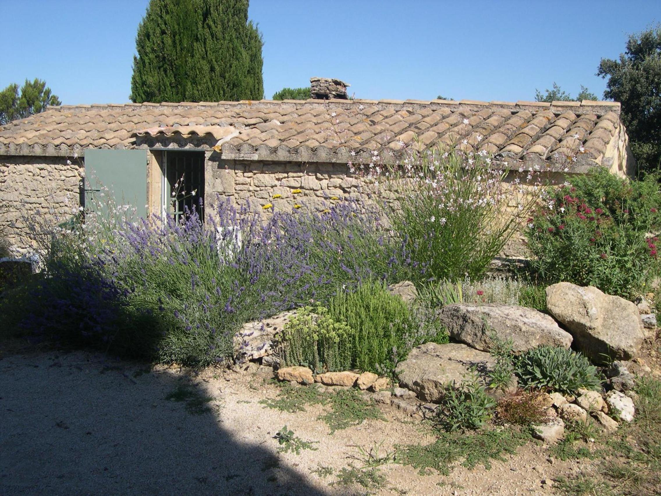 Three-Bedroom House photo 3