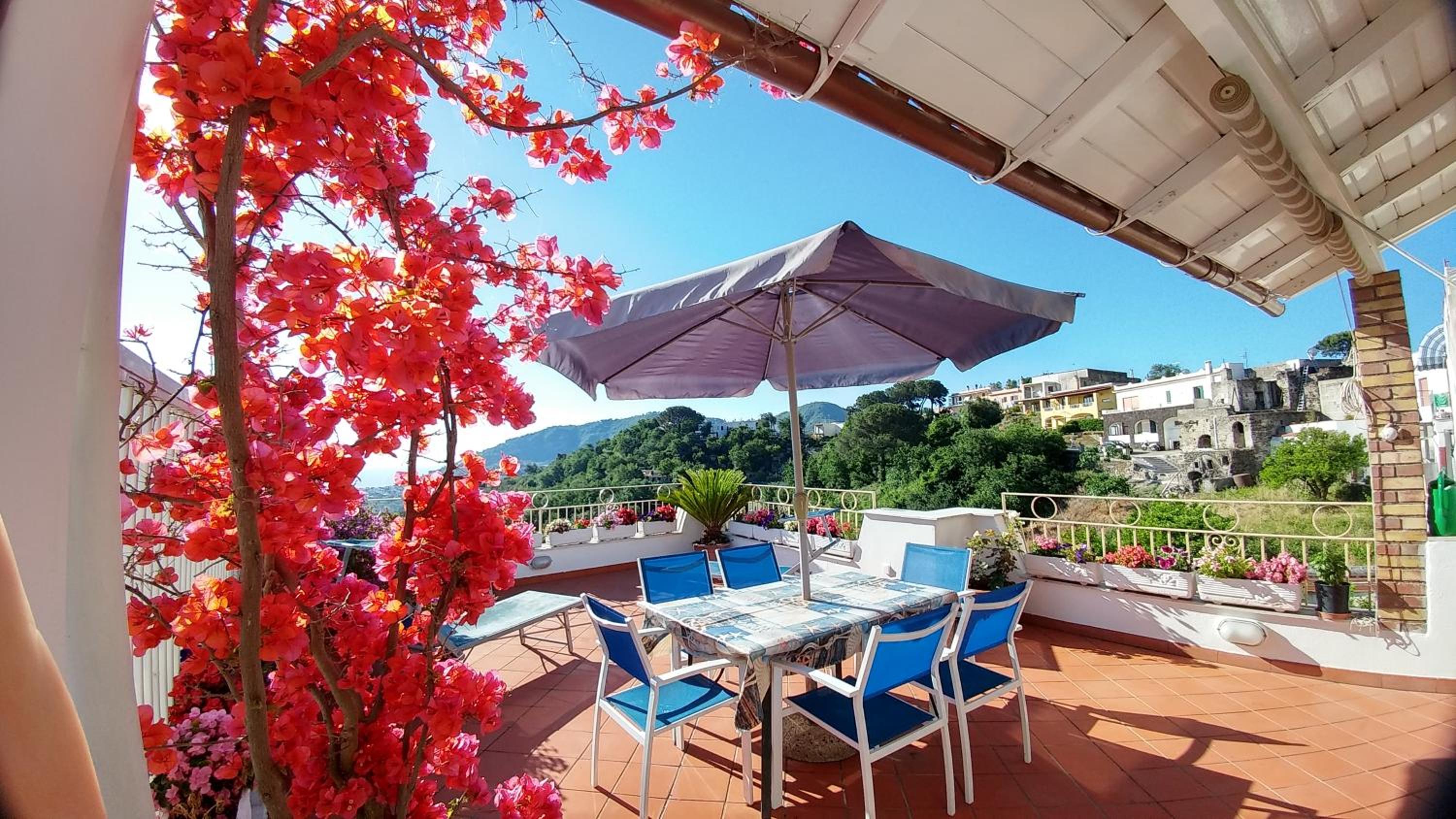 Apartment with Terrace - Photo 4
