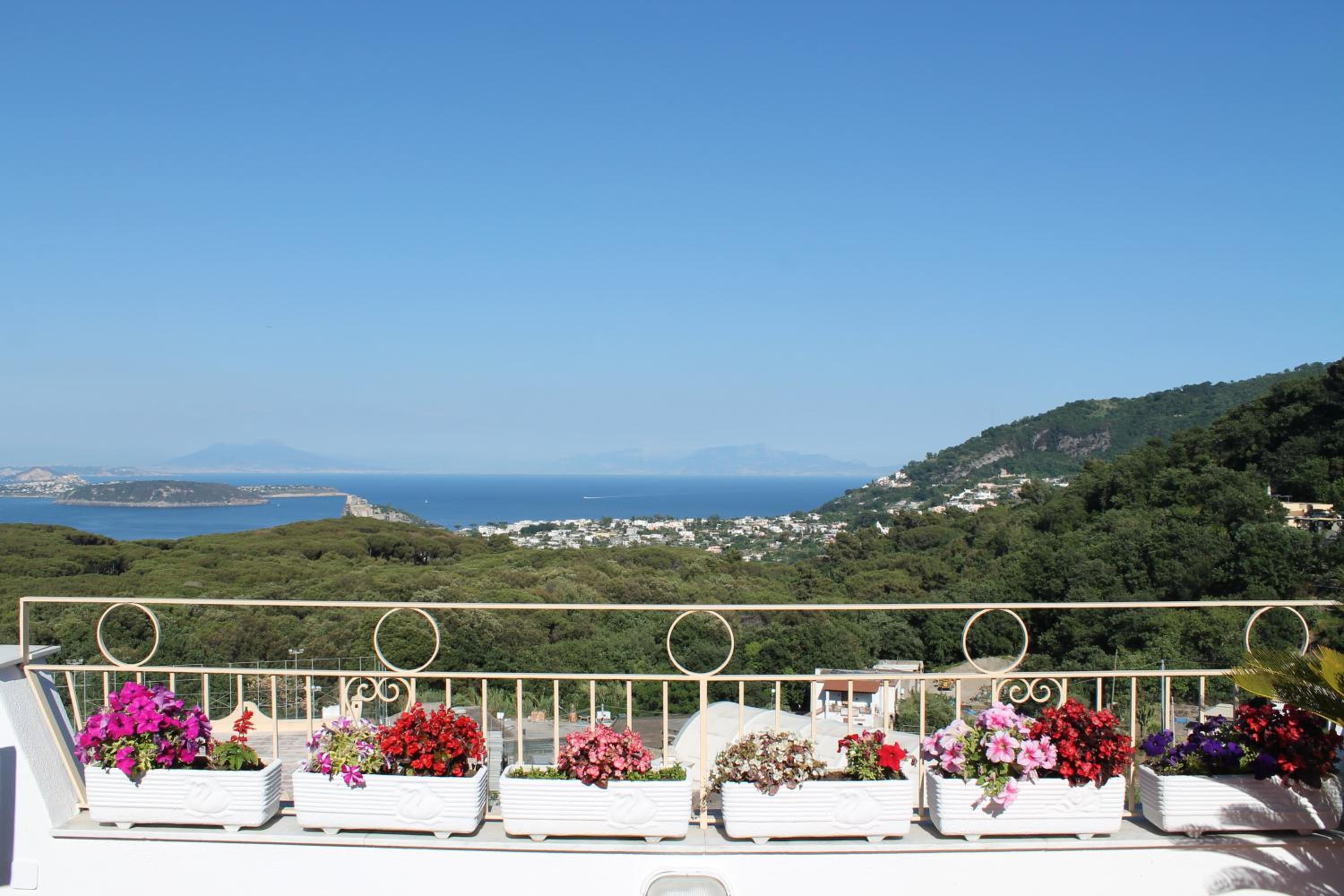 Apartment with Terrace - Photo 15