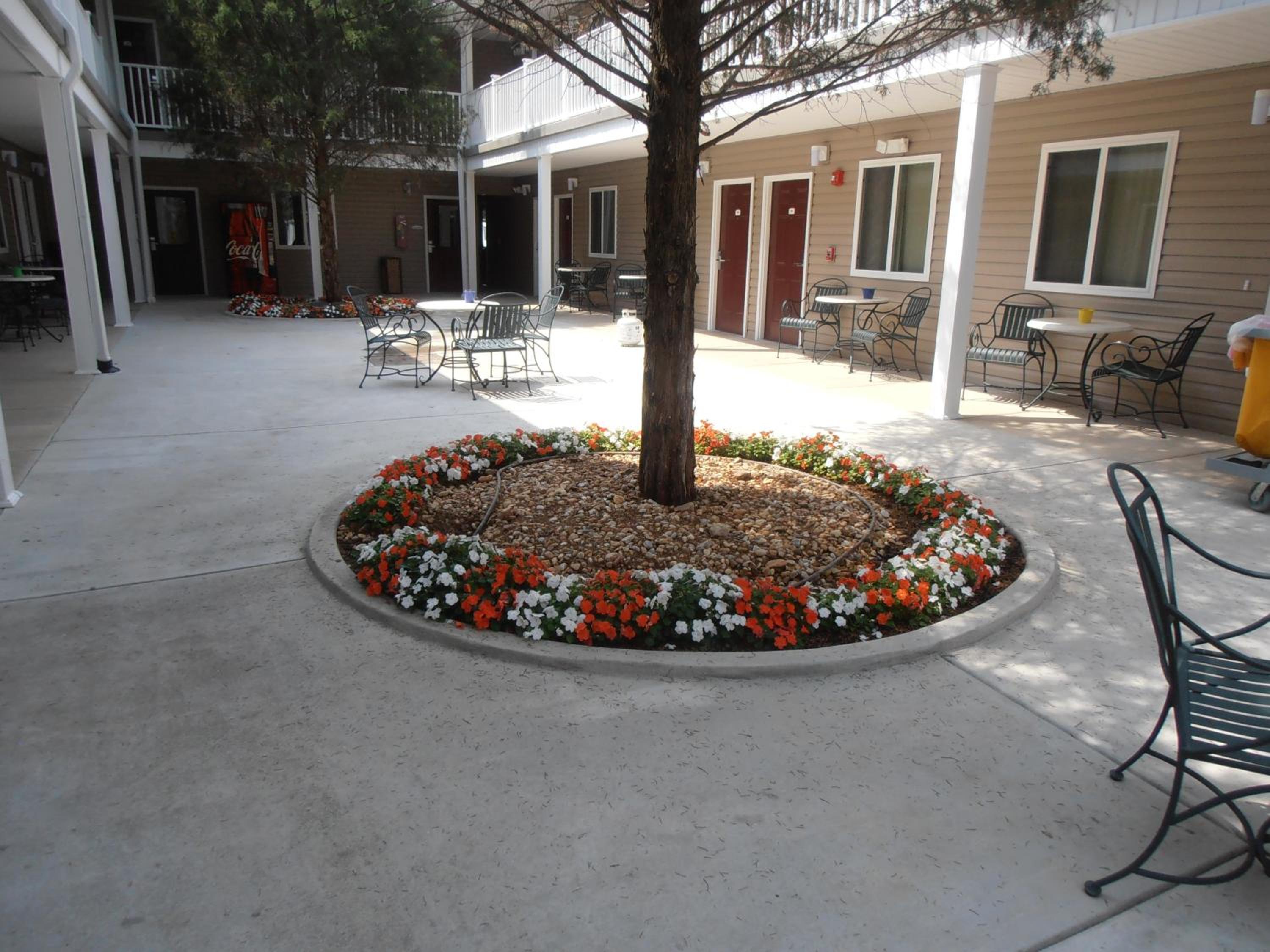 Special Offer - One-Bedroom Suite - Photo 5