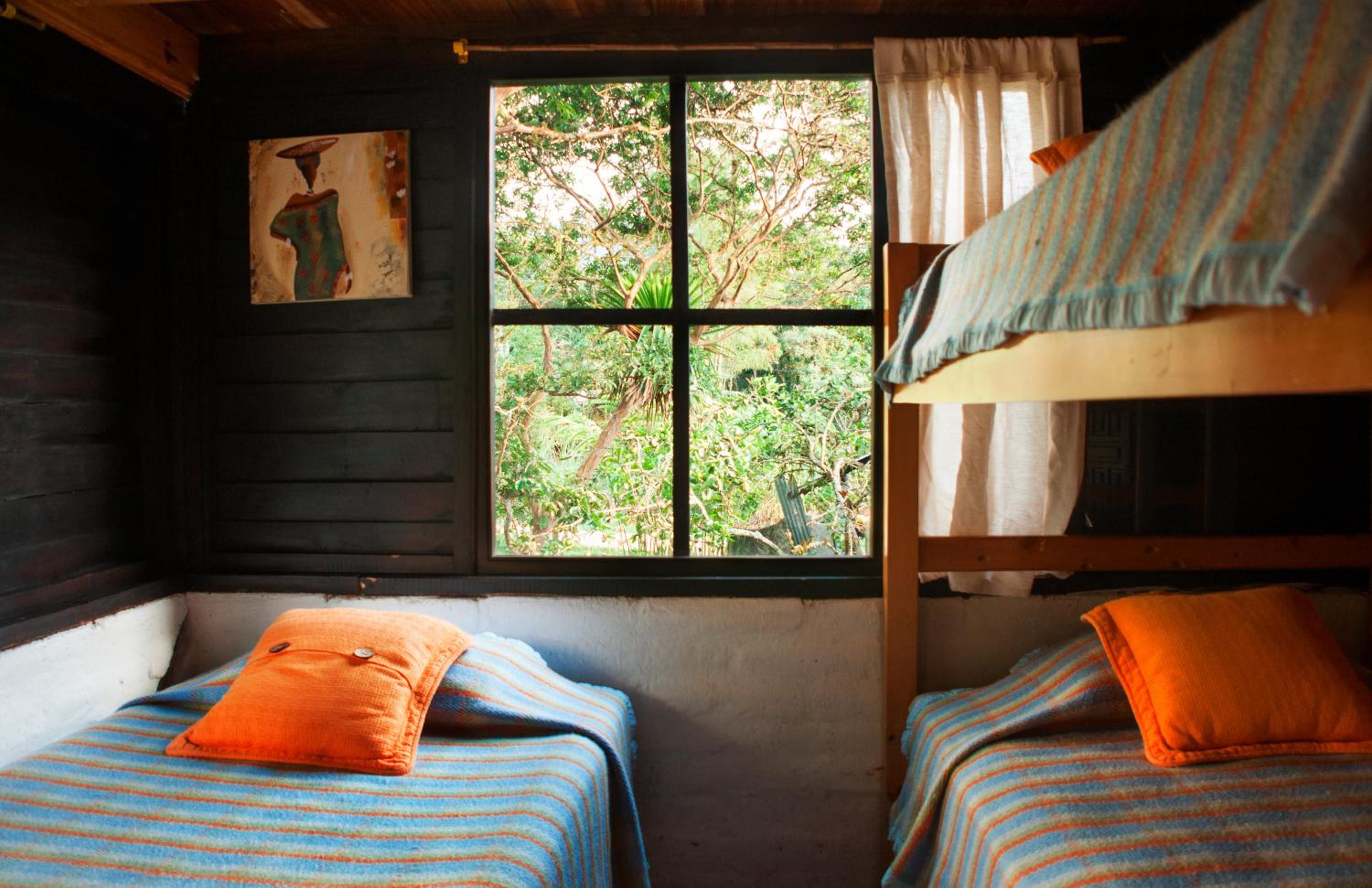 Single Bed In Mixed Dormitory Room photo 3