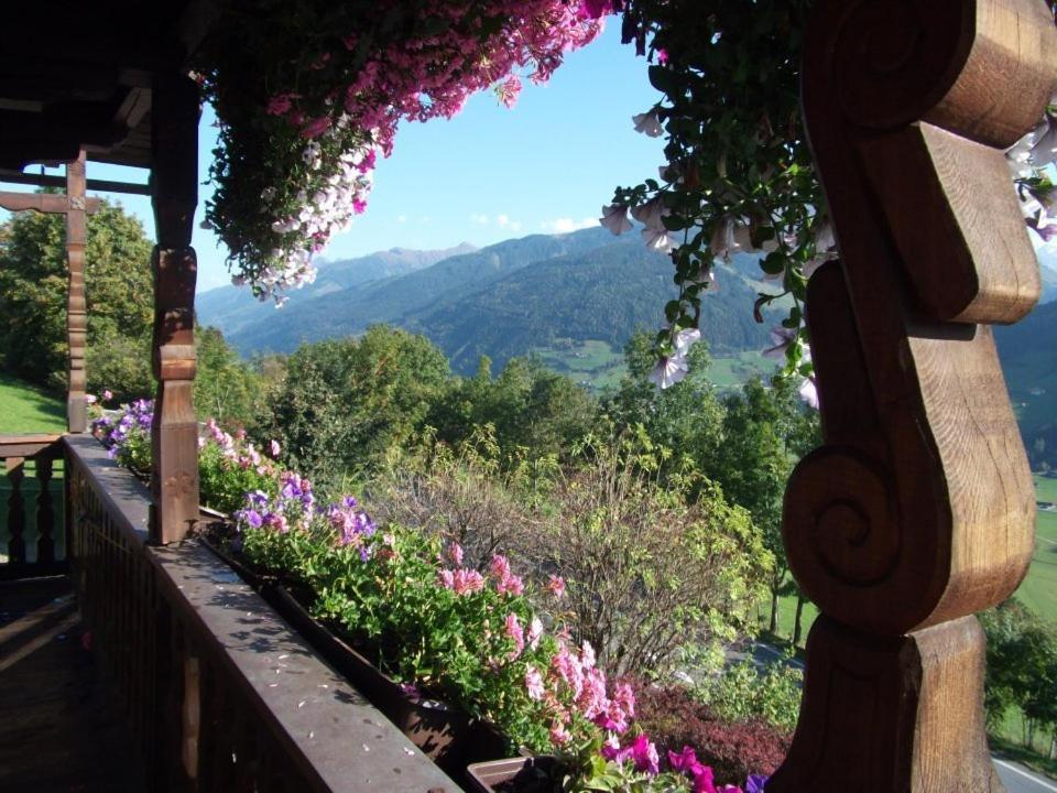 Double Room with Mountain View photo 1
