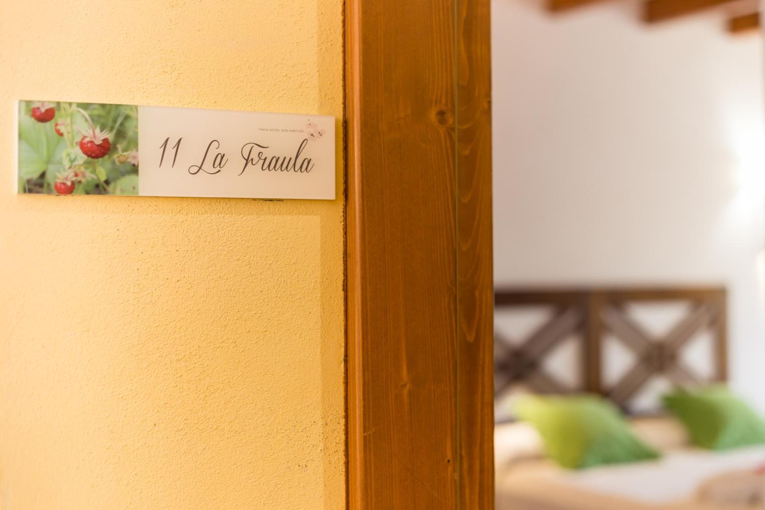 Suite Junior con Terraza