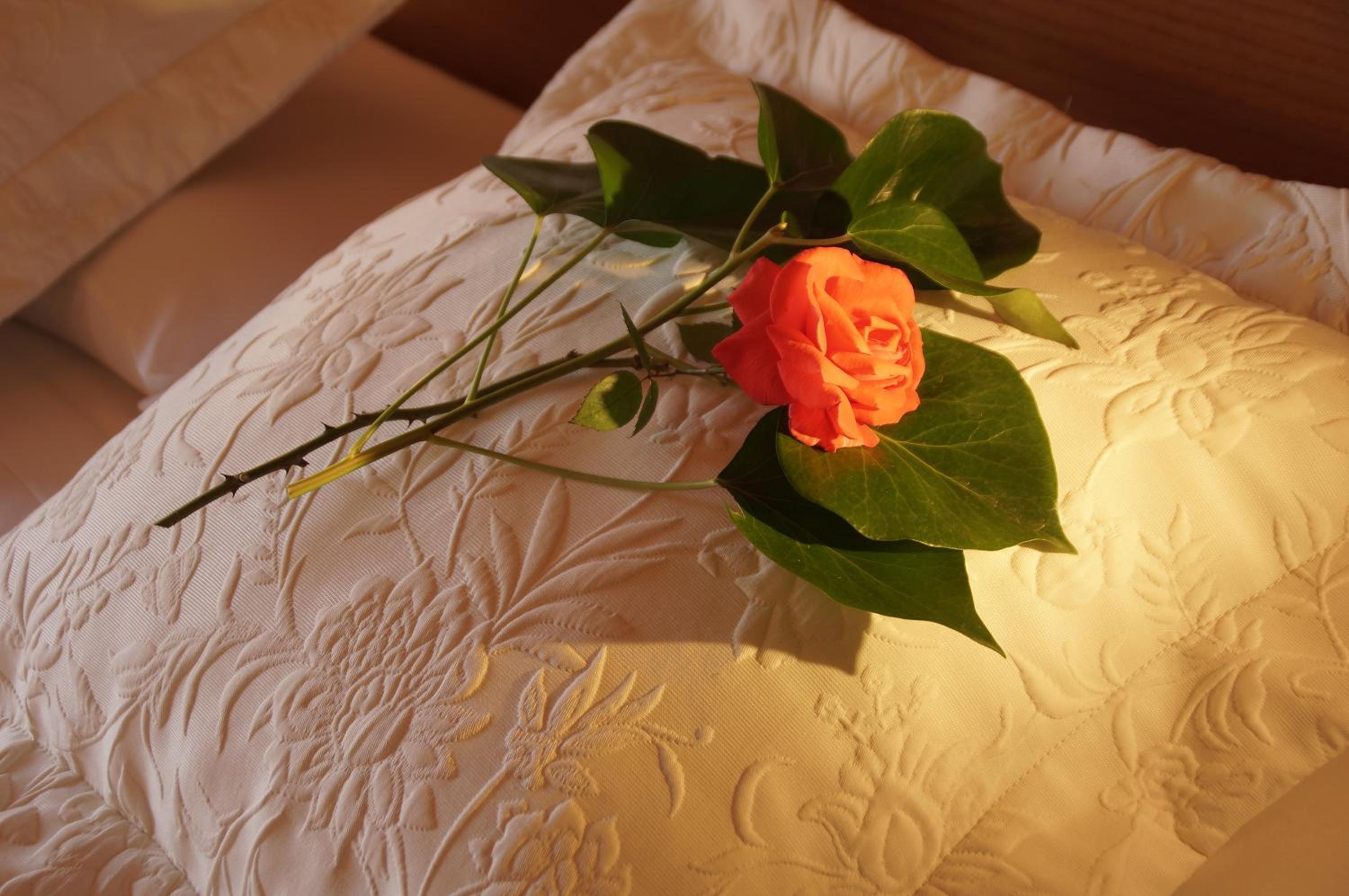 Aumallia Hotel & Spa, Billede 25
