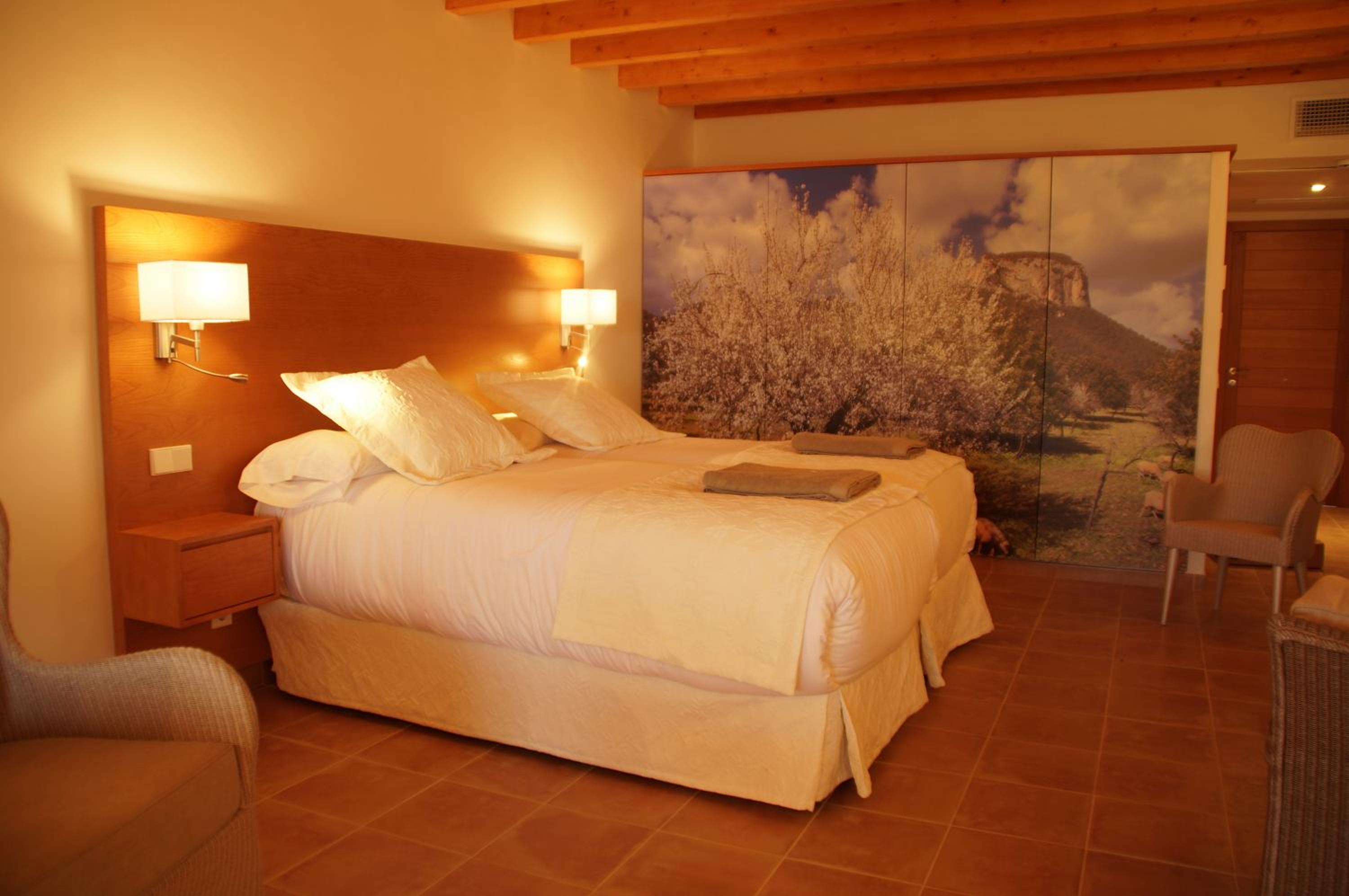 Junior Suite with Terrace - Spa Access photo 3