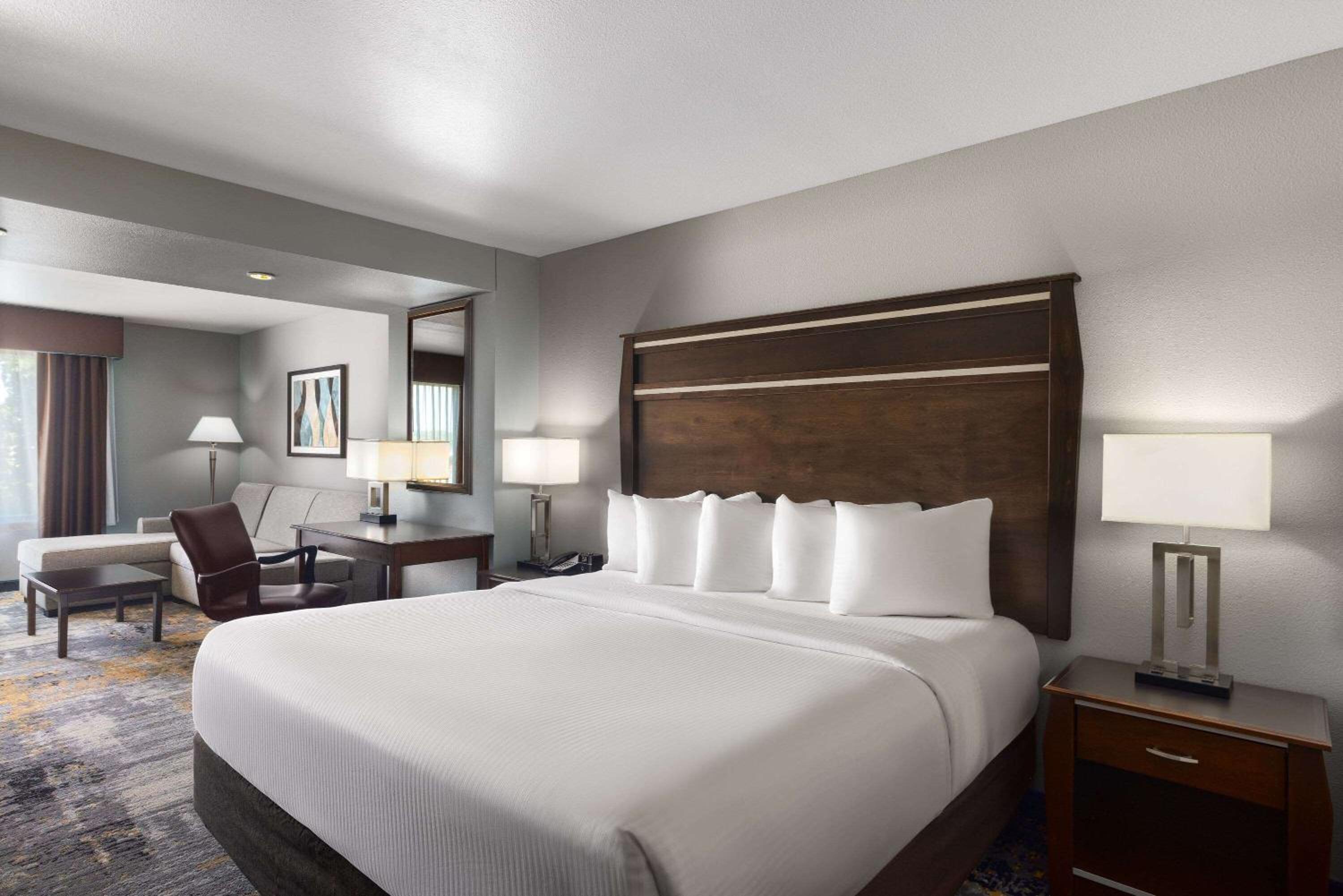 Deluxe King Suite with City View - Non-Smoking