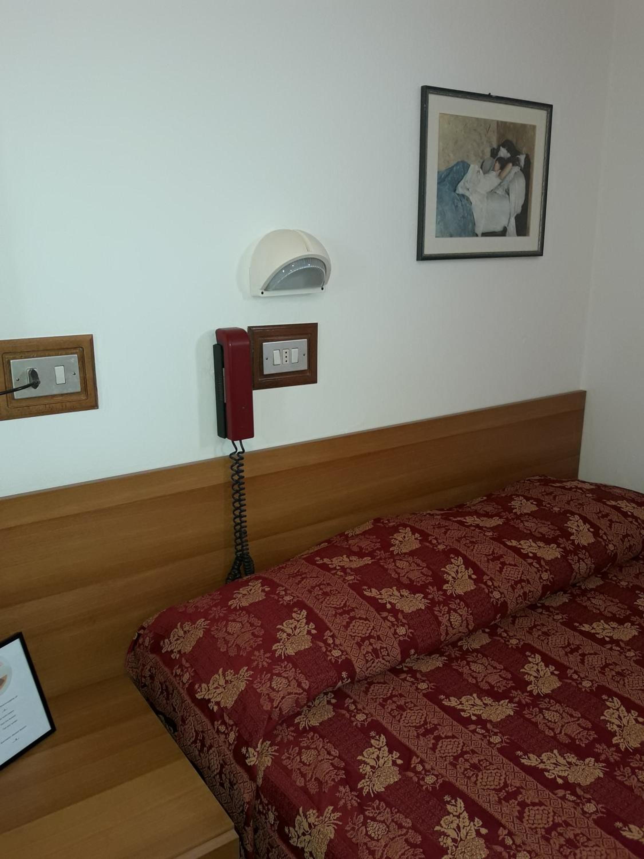 Single Room photo 2