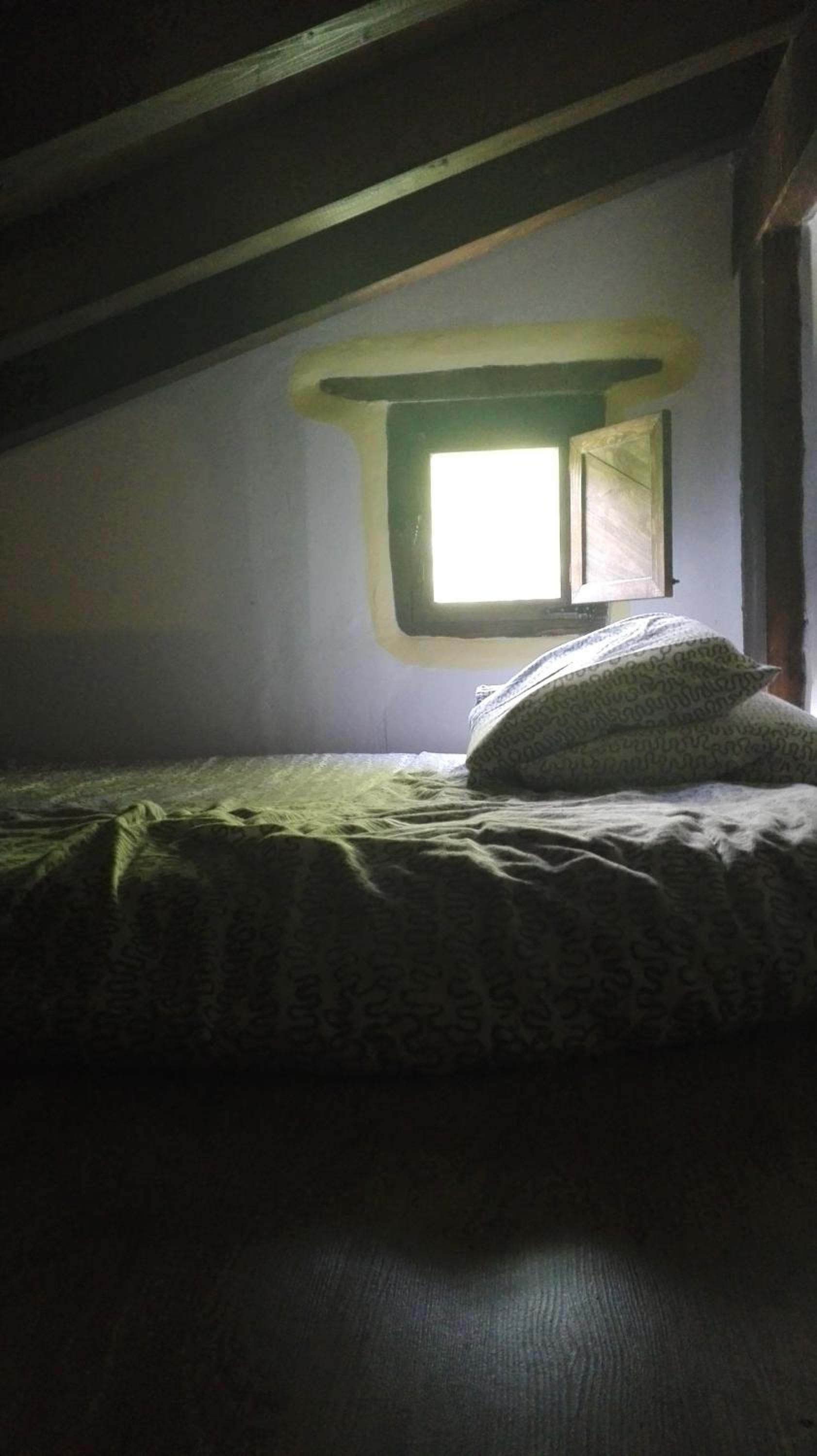 Cama individual en dormitorio compartido de 10 camas.