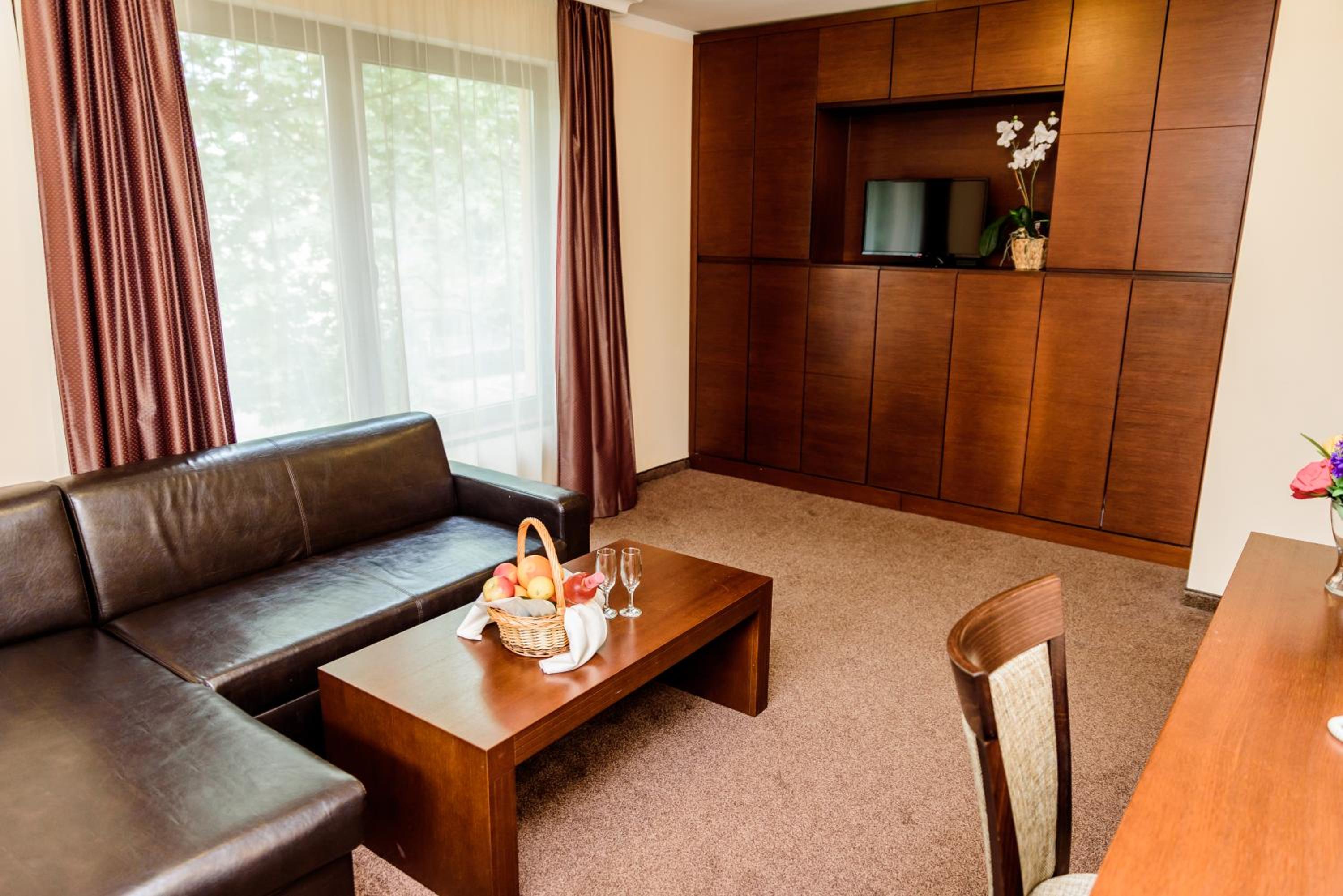 One-Bedroom Suite - Photo 4