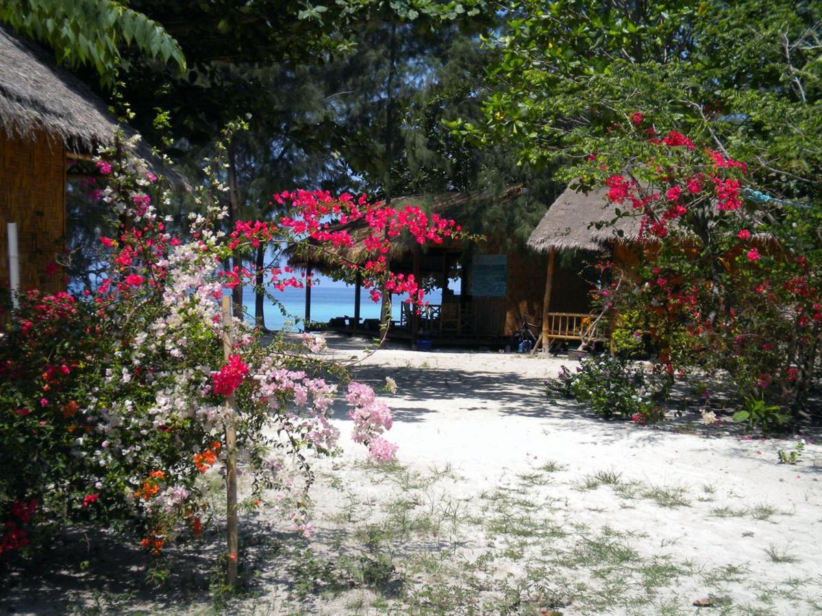 Bungalow  with Sea view photo 3