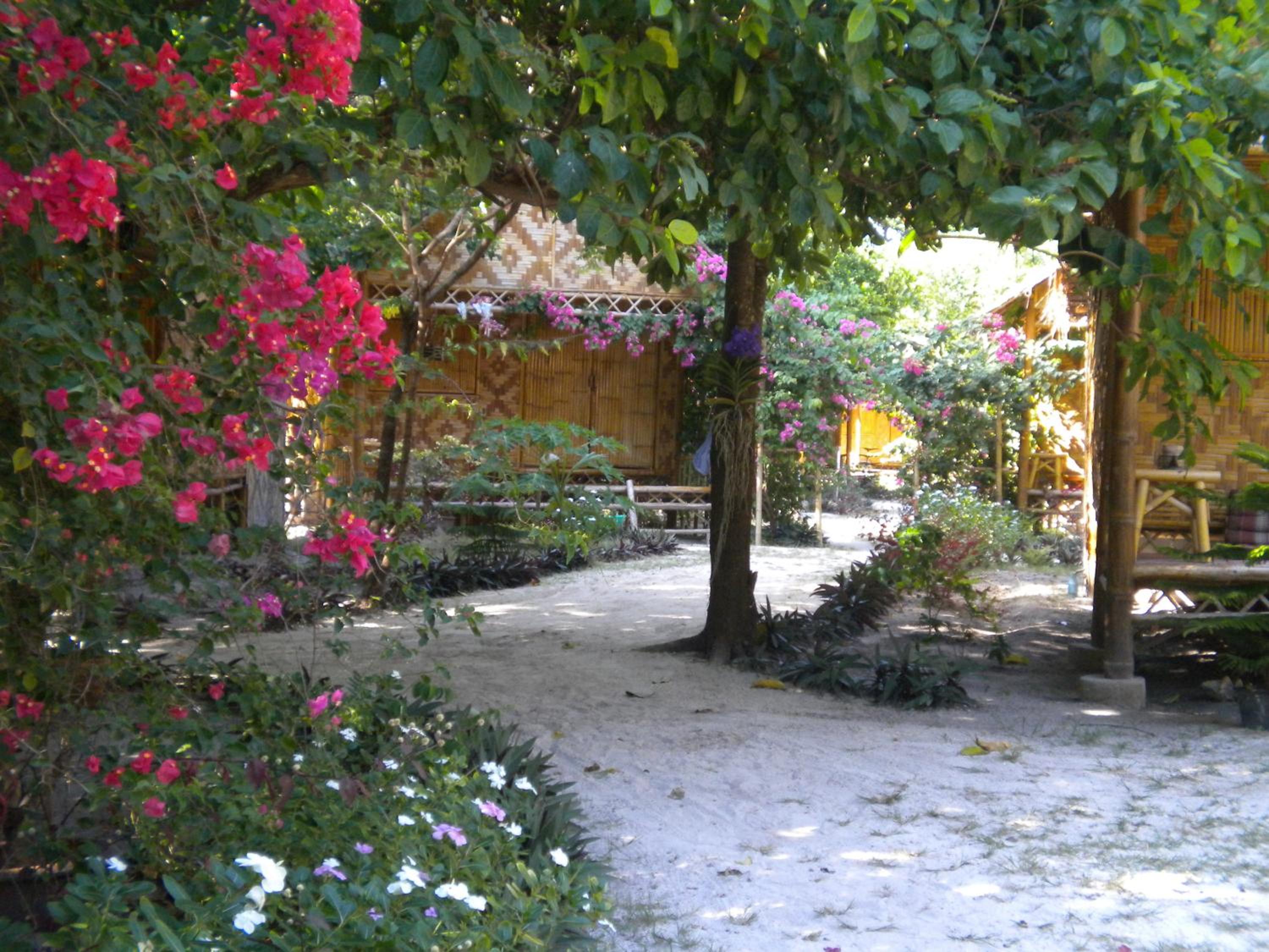 Triple Garden View Deluxe photo 2