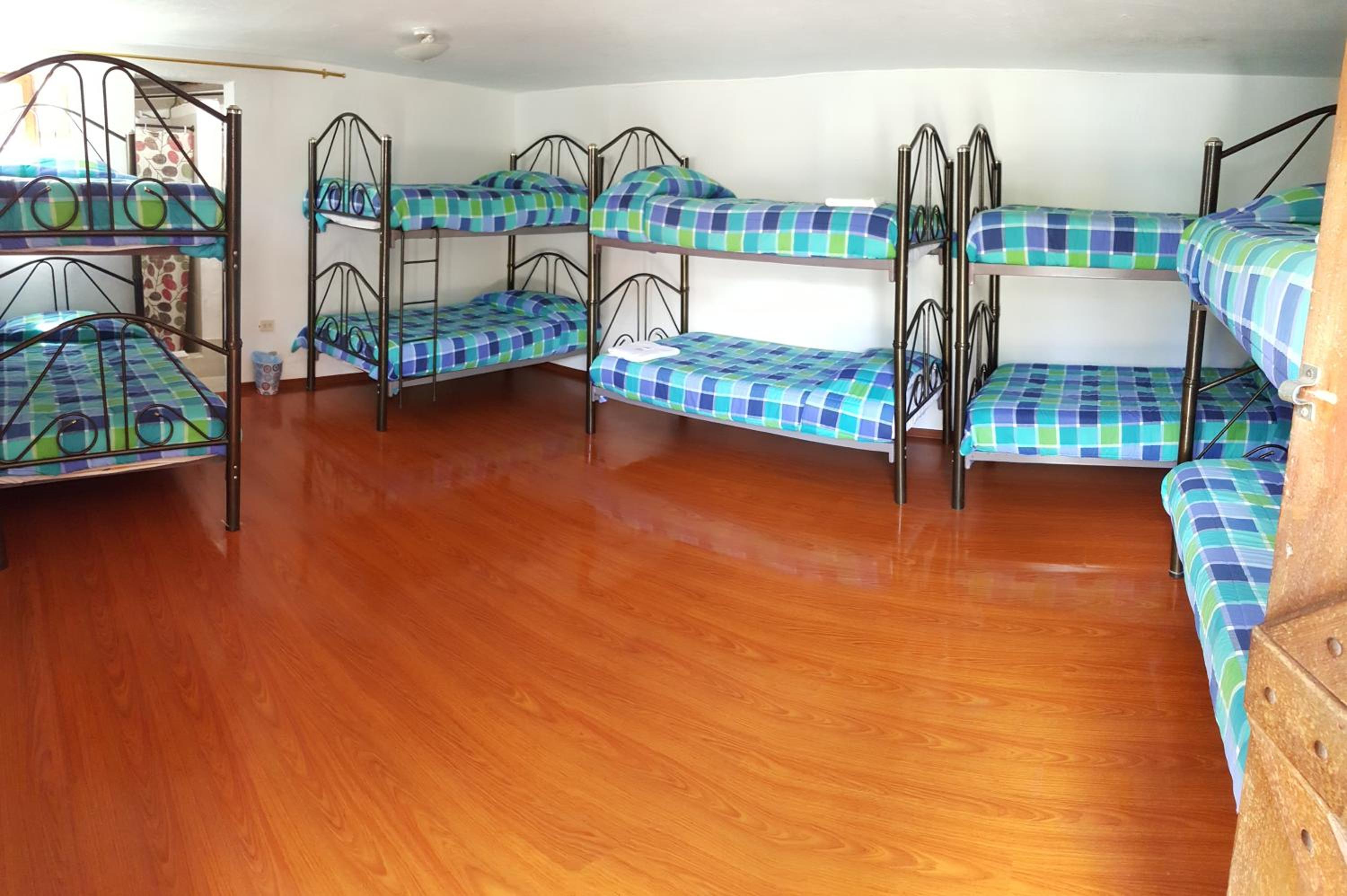 Single Bed in 10-Bed Dormitory Room photo 3