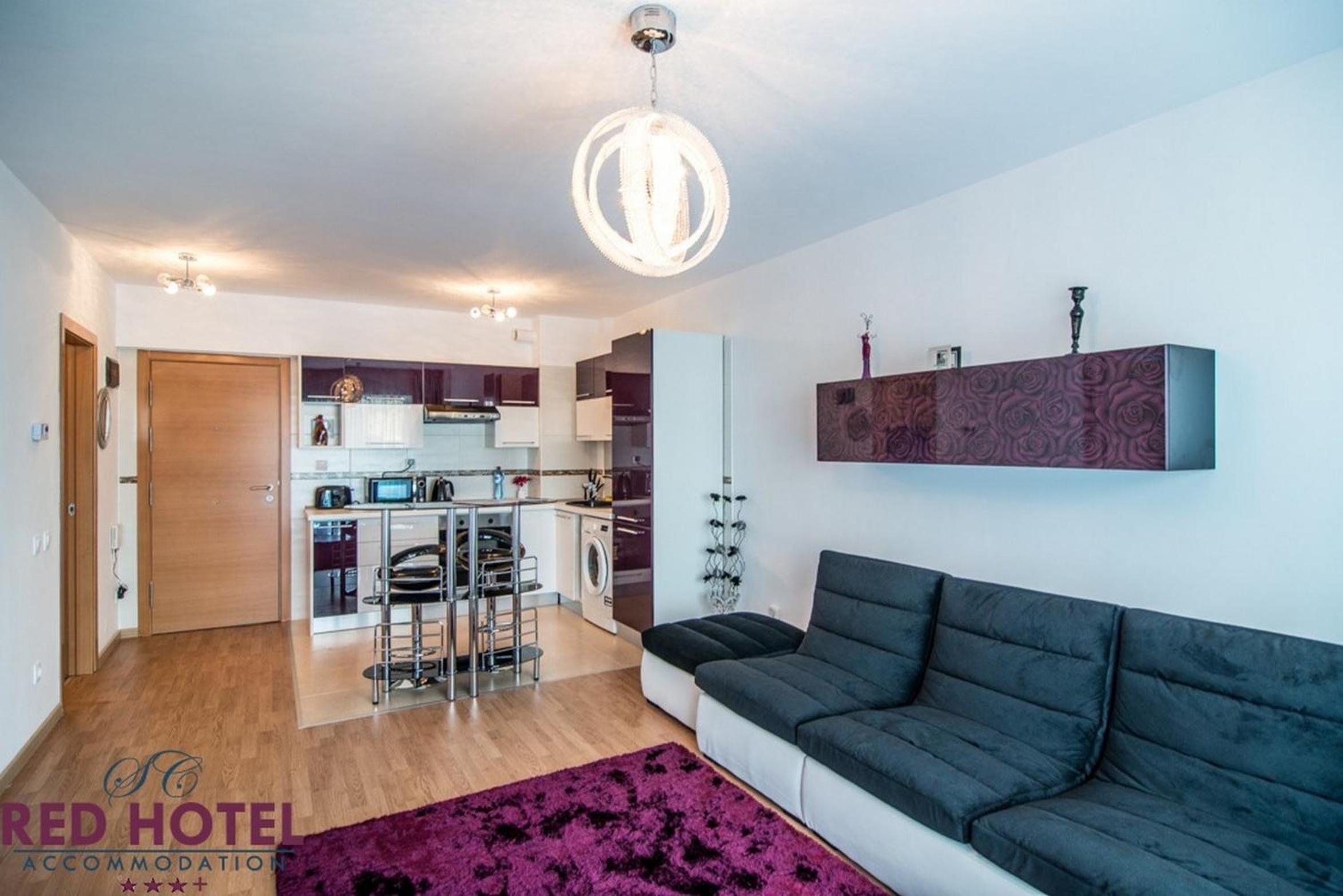 Deluxe One-Bedroom Apartment photo 3