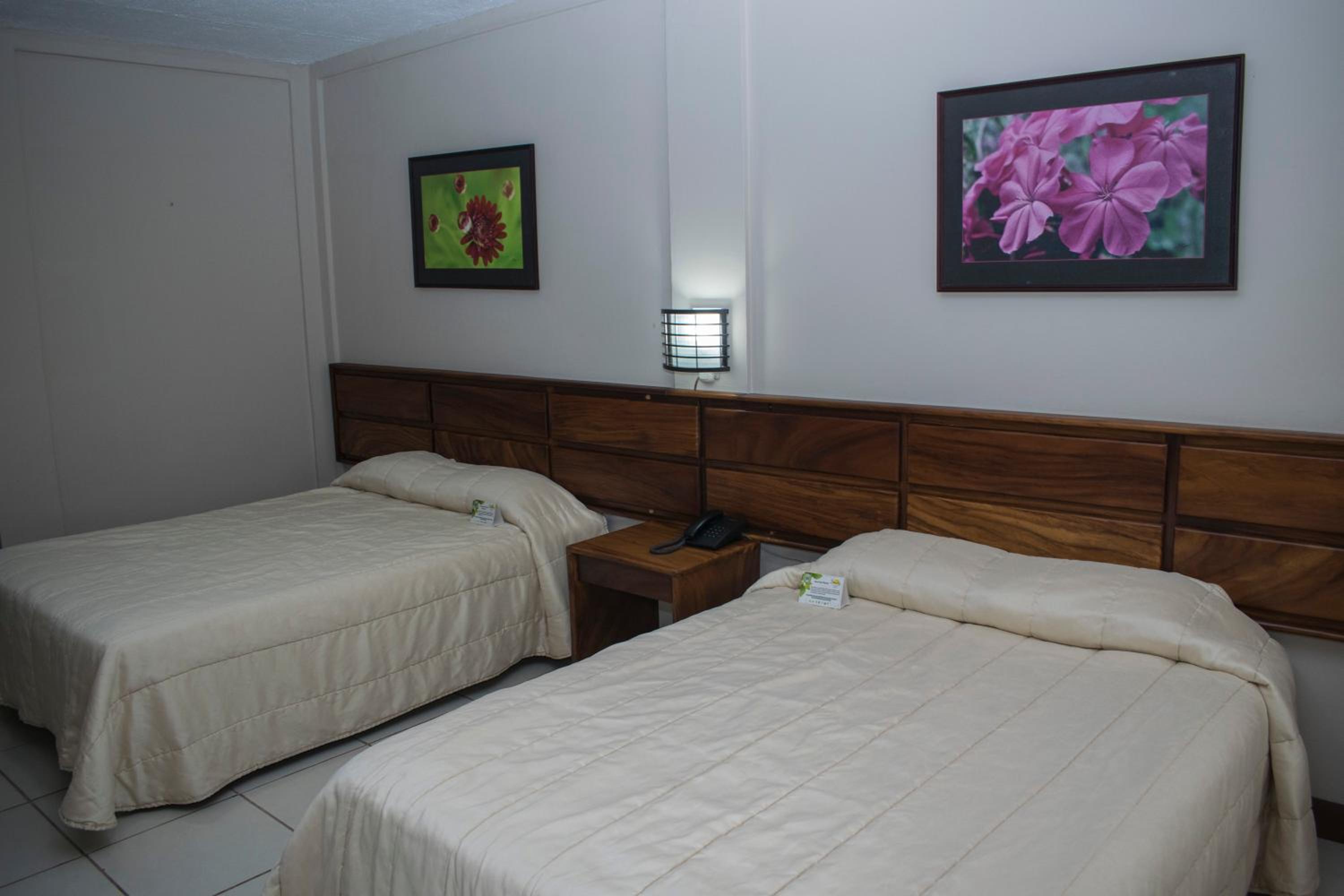 Chambre Double Standard