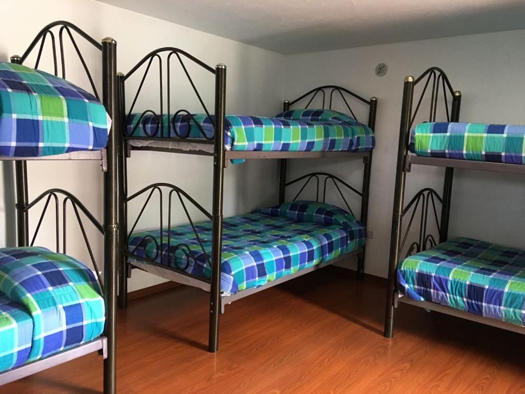 Single Bed in 10-Bed Dormitory Room photo 2