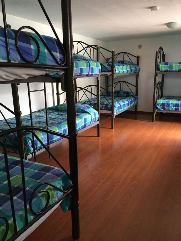 Single Bed in 10-Bed Dormitory Room photo 1