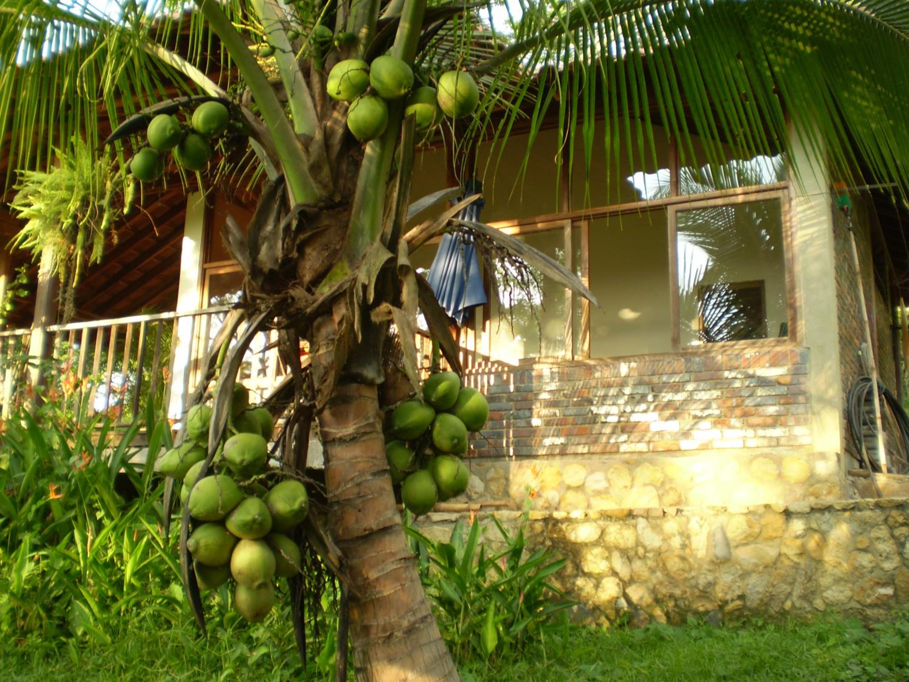 Chalet photo 2
