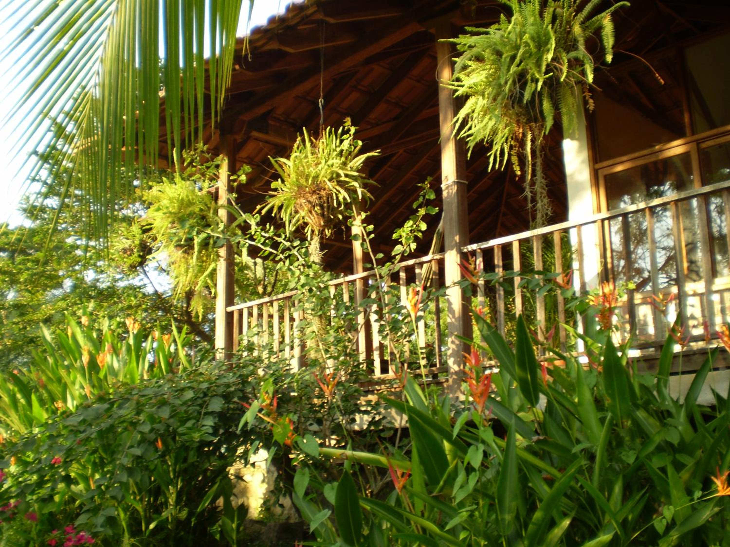 Chalet photo 1