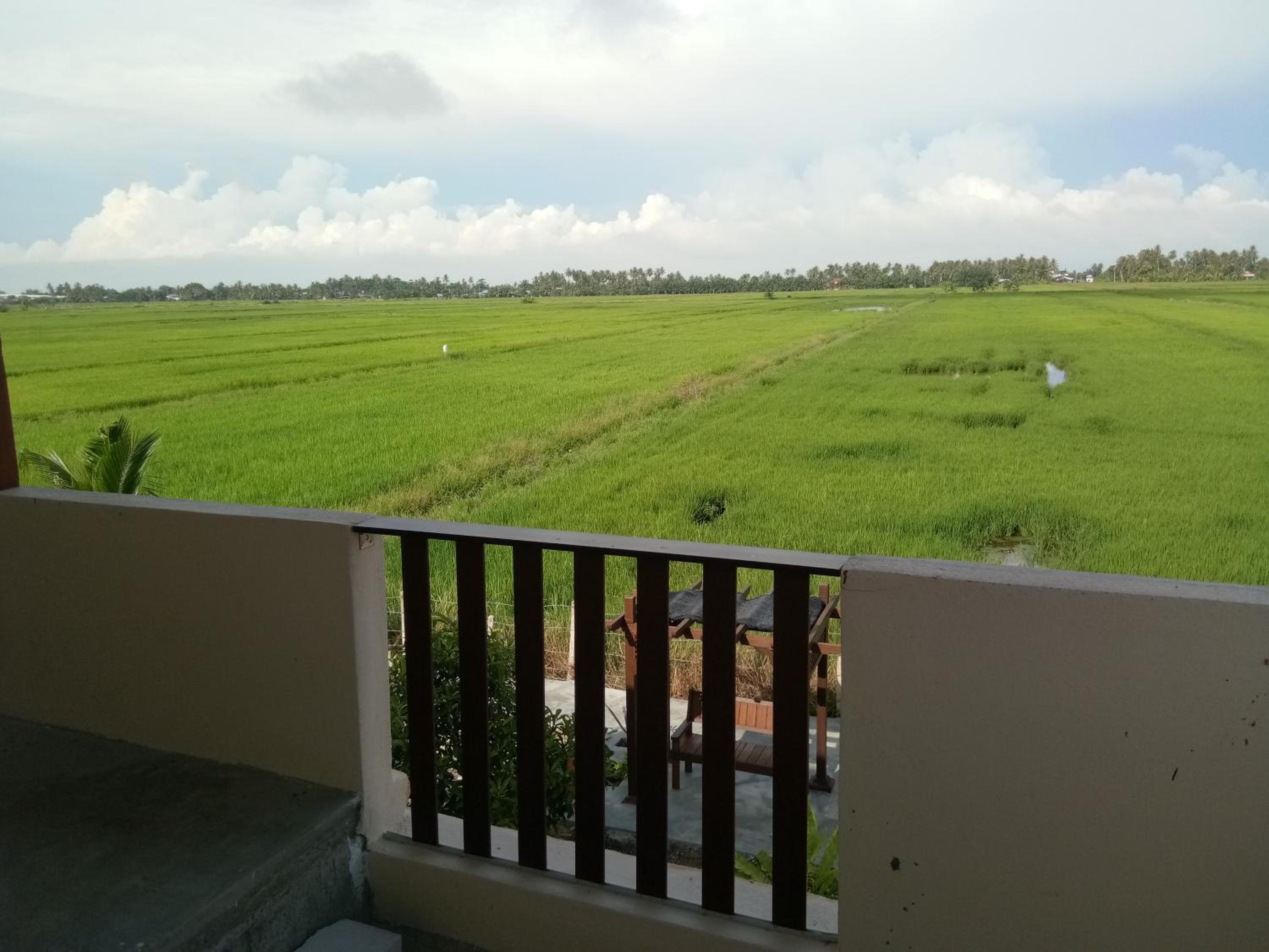 Family Suite with Balcony photo 3